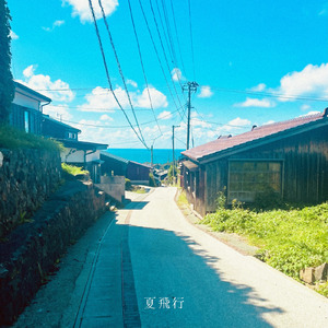 夏飛行