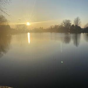 Believe It (feat. Rellstar)