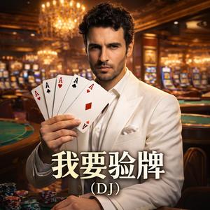 我要验牌(DJ)