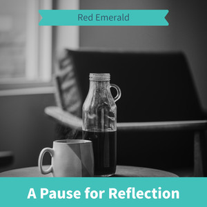 Sunflowers in the Morning