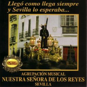 La Clámide Púrpura