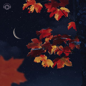 Neon (feat. 古根川広明)