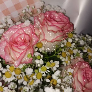 First Song [prod by 金桔0RANG3]