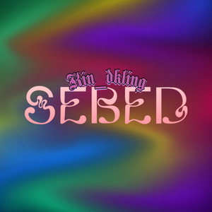 Sebed