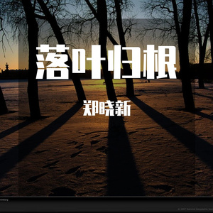 落叶归根