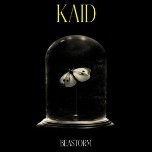 Kaid