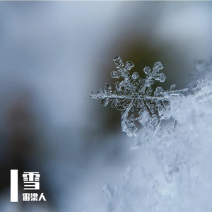 冬季快要过去（Prod.NO_BORDER）