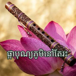 ផ្កាបុណ្យភូមិនៅតែរះ