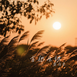 吉他生锈