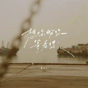 想你盼你念着你