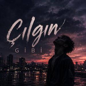Çılgın Gibi
