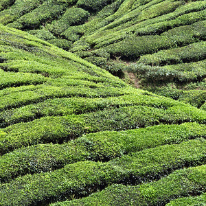 时代在召唤预备起