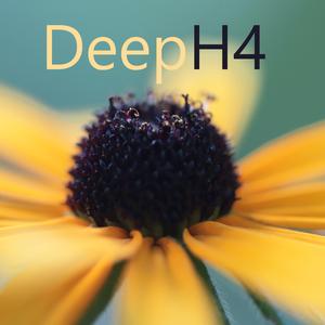 DeepH4