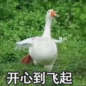 开心往前飞（男翻）（翻自 Vivi）