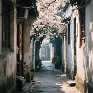 敬不到来日方长 (Remix)