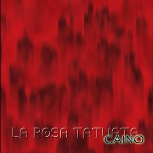 lascia che sia la notte