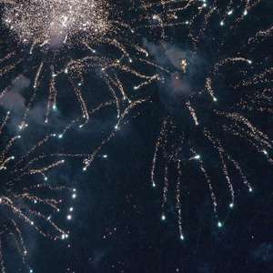 蜜蜂（翻自 万玲琳）