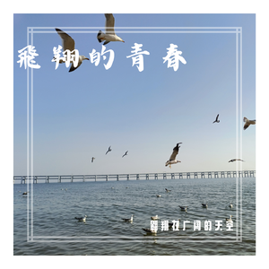 飛翔的青春（女版）