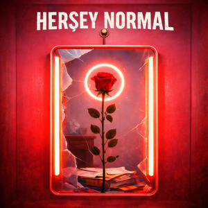 Herşey Normal