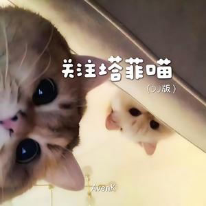 关注塔菲喵(DJ版）