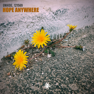 Hope Anywhere