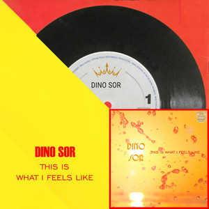 This Is What I Feels Like (Radio Edit)