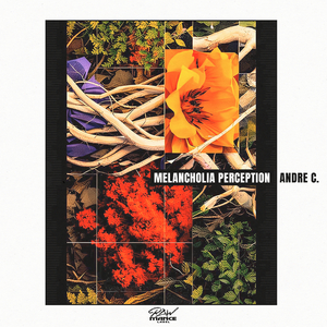 Melancholia Perception