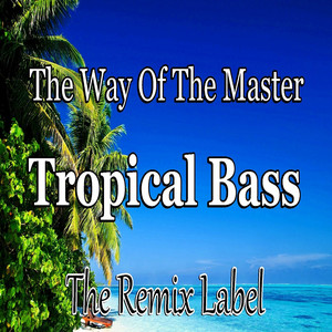 Tropical Bass (Vibrant Deephouse Mix)
