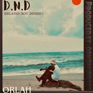 Dnd (Delayed Not Denied)