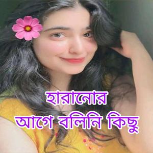 হারানোর আগে বলিনি কিছু