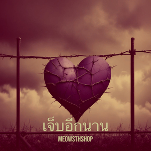 เจ็บอีกนาน