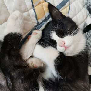 如果你不想爱我