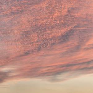 Summons of Spring (Bonus Track)