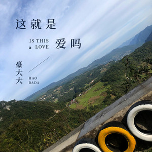 真的爱你 (DJ豪大大版)