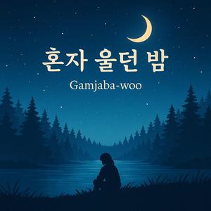 혼자 울던 밤 (Instrumental2)