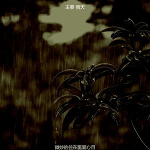 温和雷暴梦想