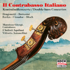Massimo Giorgi - Double Bass Concerto in A Major:I. Allegro moderato