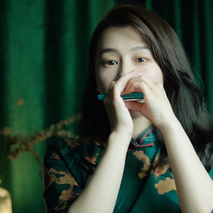 今宵多珍重（口琴）慢悠悠