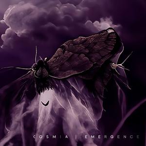 Blackened Wings