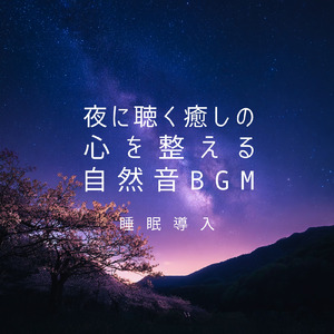 星降る湖畔で心が静まる 深い眠りの自然音