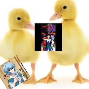 当鸭子唱残酷天使的行动纲领