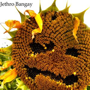 Don't Worry Everything's Fine