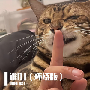 柳州DJ晨七七-谁（环绕DJ版）