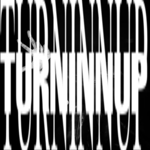 TURNINUP