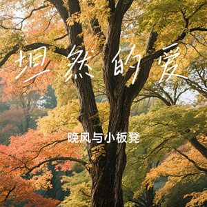 坦然的爱