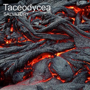 Taceodycea
