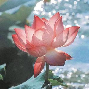 美好的事可不可以發生在我身上