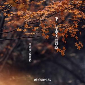 下一站南辛庄西路