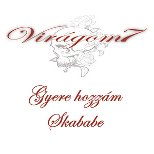 Gyere hozzám Skababe