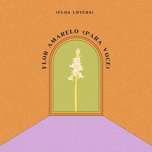 Flor Amarelo (Para Você)